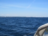 2013-05-30 15-59-11