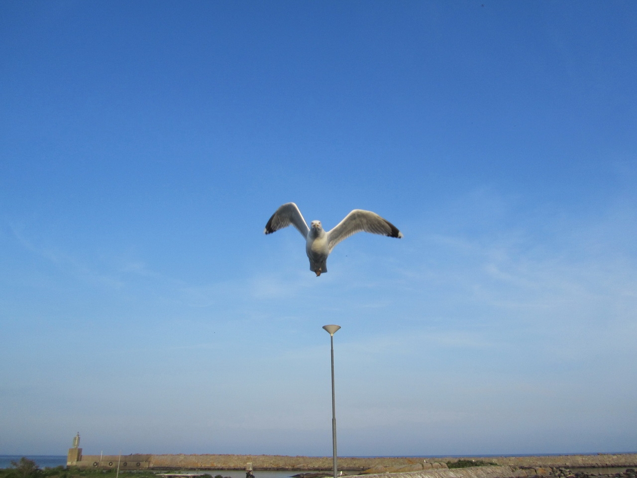 2013-06-02 19-42-56