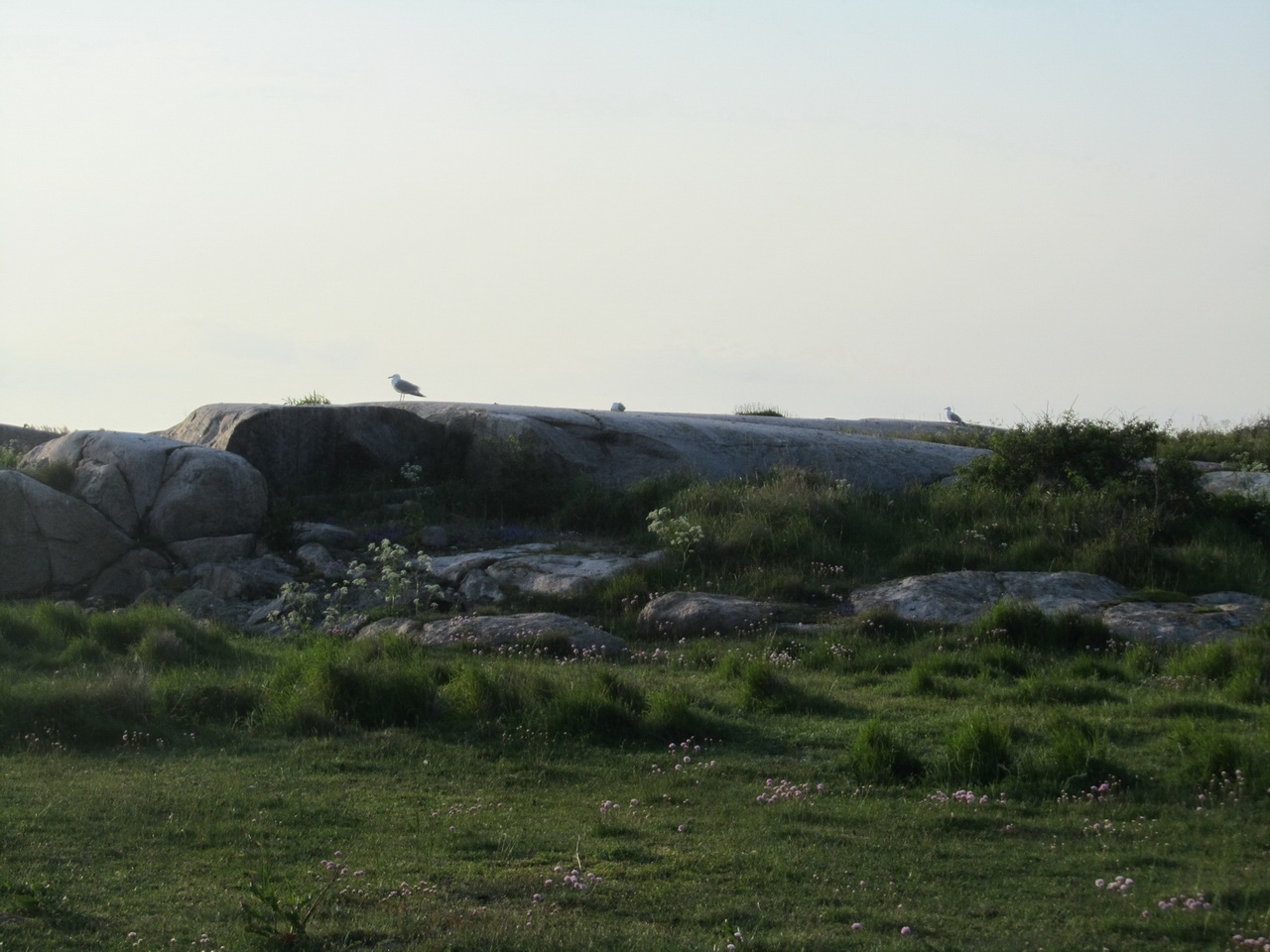 2013-06-02 19-45-21