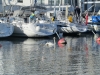 2013-06-05 07-29-20