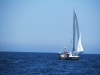 2013-06-08 12-16-00