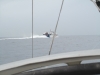 2013-06-20 10-28-30