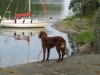 2013-06-22 16-35-21