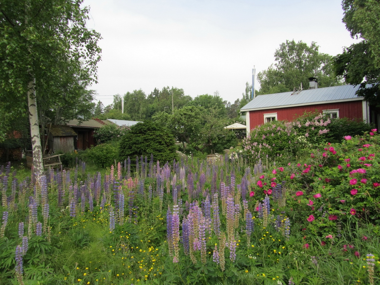 2013-06-24 10-01-03