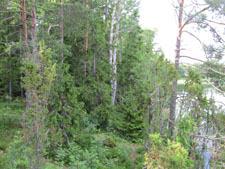 25-6-2011 16-58-18