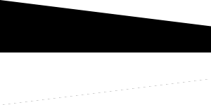 600px-6-Soxisix.svg